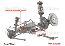 Load image into Gallery viewer, Nolathane - Rear Differential - Rear Mounting Bracket Bushing Set
