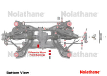 Load image into Gallery viewer, Nolathane - Differential - Mount Front Bushing
