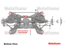 Load image into Gallery viewer, Nolathane - Differential - Mount Rear Bushing
