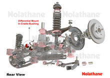 Load image into Gallery viewer, Nolathane - Differential - Support Rear Bushing
